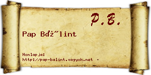 Pap Bálint névjegykártya